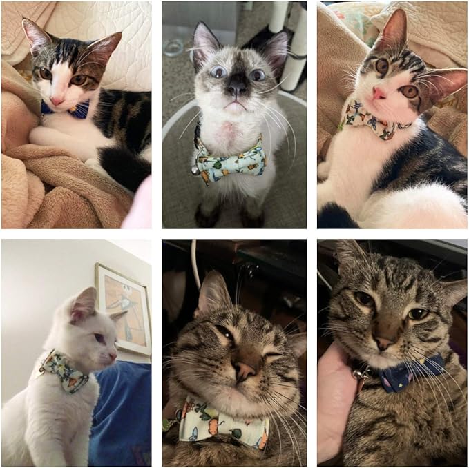 ADOGGYGO Cat Collar Breakaway with Cute Bow Tie Bell, 2 Pack Kitten Collar with Removable Bowtie, Universe Dinosaur Bowtie Collar for Cats (7.5"- 10.5")