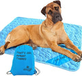 INSPECTOR TAIL Self Cooling & Traveling Mat + Free String Bag Pack/Washable & Portable Pet Soft Pad for Indoor or Outdoor/Perfect for Dog & Cats for Car Travel Kennel Sofa Bed Floor/Blue