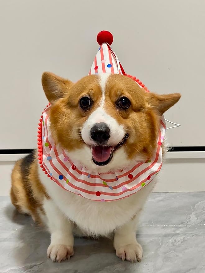 Cat Dog Birthday Bandana Scarf and Party Hat Cute Polka dot and Stripe Bib Scarf and Birthday Hat Cat Puppy Birthday Party Decorations Set