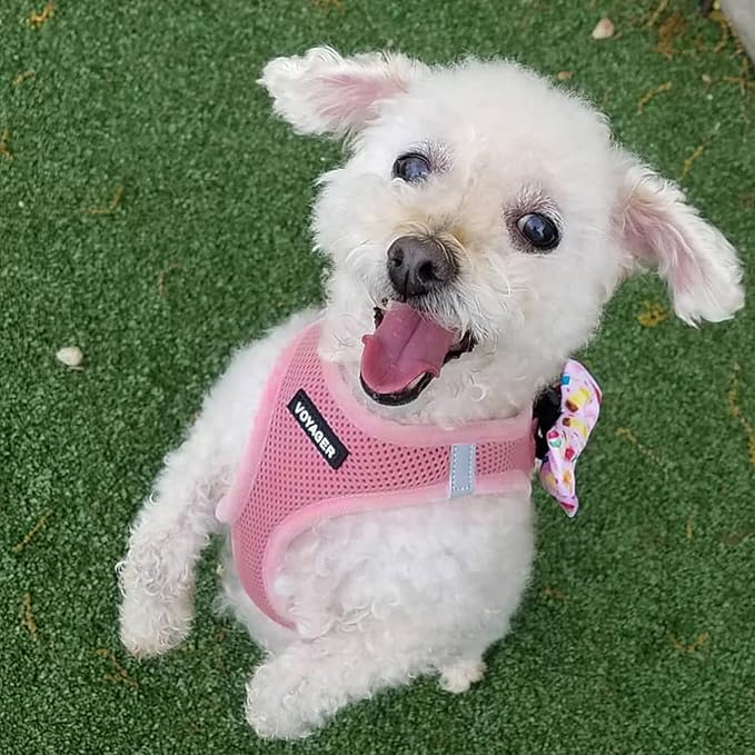 Best Pet Supplies Voyager Step-in Air All Weather Mesh Harness and Reflective Dog 5 ft Leash Combo with Neoprene Handle, for Small, Medium and Large Breed Puppies - Set (Pink), XL