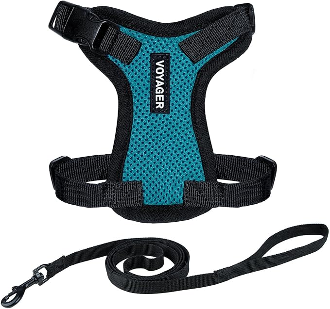 Voyager Escape-Proof Step-in Lock Cat Harness & 5ft Neoprene-Handle Leash Set All-Weather Mesh with Reflective Stitching for Small to Large Cats by Best Pet Supplies, Turquoise/Black Trim, XS