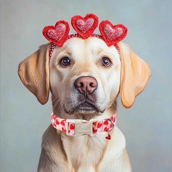 Valentines Dog Collar for Medium Dogs - Cute Pink Girl Dog Collar, Doodle Heart Pattern, Adjustable Valentine Dog Collars with Red Heart Charm M