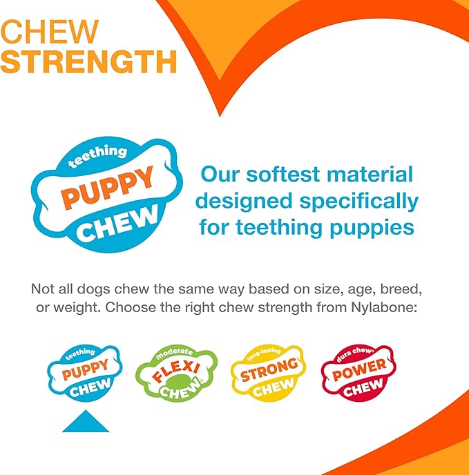 Nylabone Flavor Frenzy Barbell Puppy Chew Toy, Rubber Toys for Teething Puppies, Peanut Butter & Banana Flavor, Medium Dogs - Up to 35 lbs., 1 Count