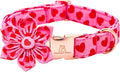 Lionheart glory Valentine's Day Dog Collar with Flower Dog Collar for Small Dogs, Soft Adjustable Hearts Dogs Collars Spring Pet Collars Flower Puppy