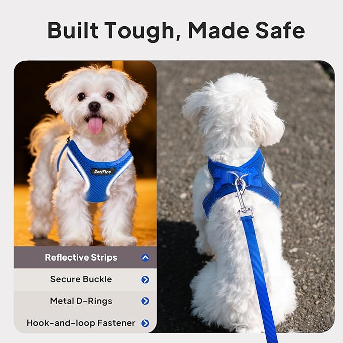 PetiFine Step in Small Dog Harness and Leash Set, Breathable All Weather Air Mesh Reflective Escape Proof, Step-in Vest Harnesses for Puppy(S, Baby Blue)