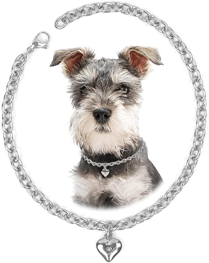 HOWWFALY Dog Collar and Dog Chain Necklace Stainless Steel Adjustable 18K Sliver Heart-Shaped Necklace for Small Pets Cats Kitten Puppy (Sliver, 12 inch)