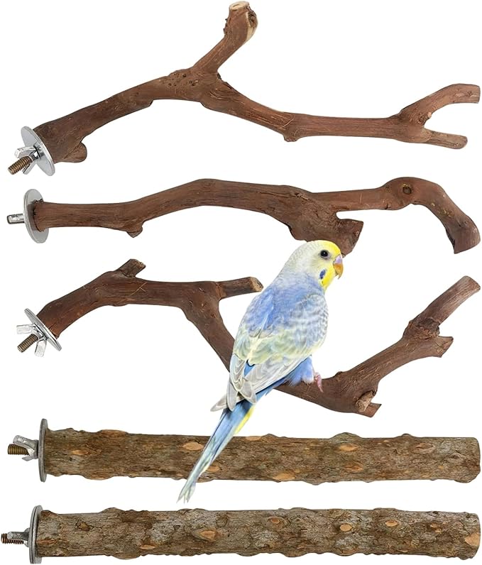 5 PCS Wood Bird Perches, Natural Grape Wood Branches with Mounts, Bird Stand and Paw Grinding Accessories, Cage Perches for Parakeet, Cockatiel, Conure, Budgie