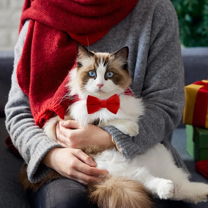Sliverdew 2 Pcs Velvet Cat Collar with Bell and Bowtie, Adjustable Breakaway Cat Collars Kitten Small Puppy Safety Bow Tie Solid Wedding Basic Color Cat Bow Tie Collar