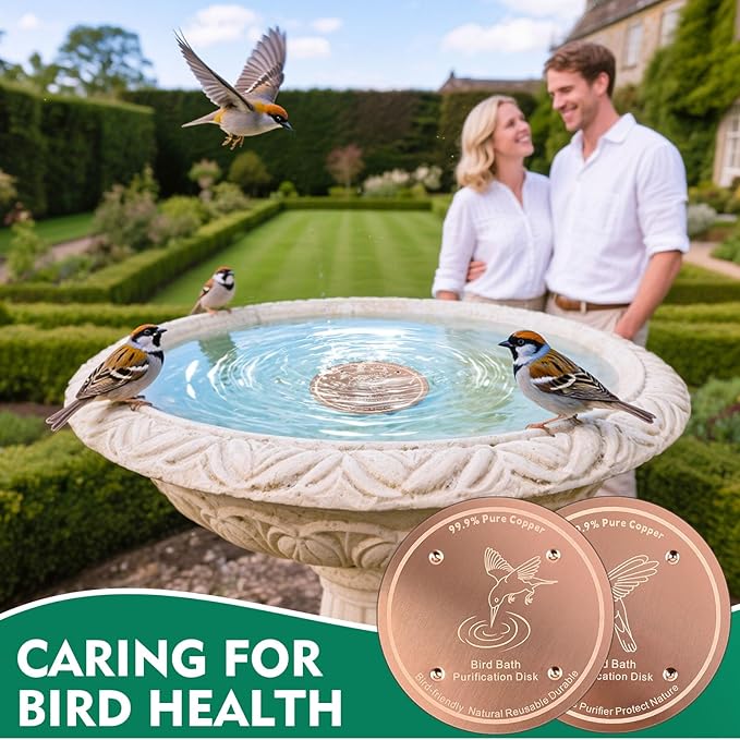 1 Pcs Copper Disc for Bird Bath | 99.99% Pure Copper Plate & Birdbath Disk | 0.6mm Thick Reinforced Design | Maintains Clean Water Naturally | Fits All Birdbath Bowls Year-Round (Bird Style 3)