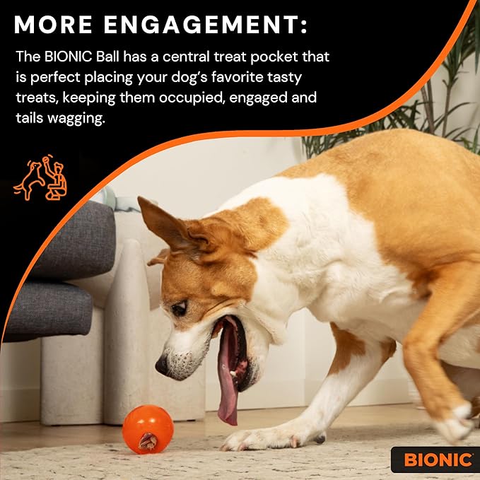 BIONIC Ball Dog Toy, Small - Interactive Dog Chew Toy That Stands Up to The Toughest Chewers, for Dogs up to 20 lbs. (9 kg)