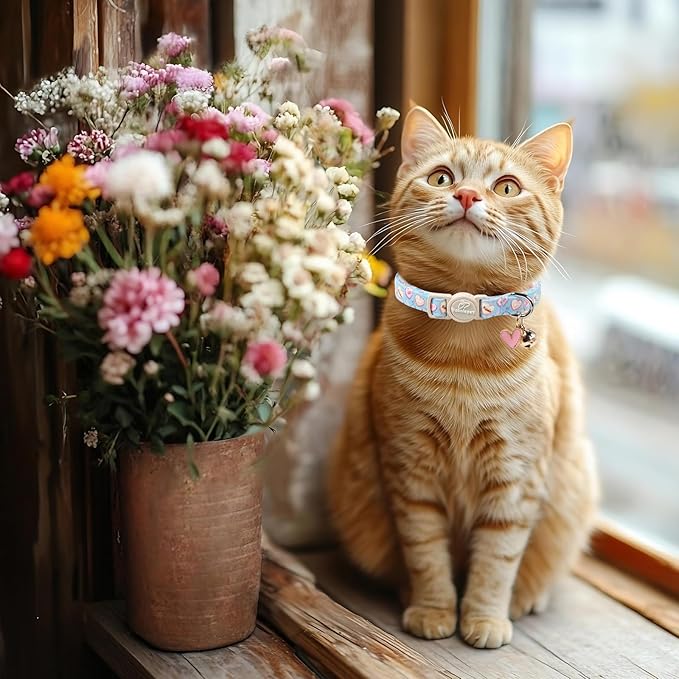 2 Pack Valentines Cat Collars - Valentine Breakaway Cat Collar with Bell, Pink and Red Heart Pendant, Adjustable Kitten Collars for Girl Boy Cats, Sweet Hearts