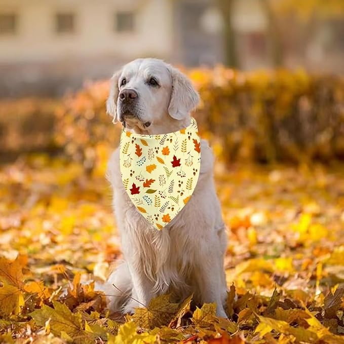 Thanksgiving Dog Bandana 2 Pack, All 4 Patterns Pumpkin Turkey Dog Scarf, Fall Autumn Leaves Pet Thanksgiving Bandanas for Medium Large Dogs, Triangle Reversible Fall Pet Scarf