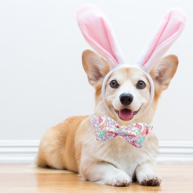 Lionheart Glory X-Small Dog & Rabbit Collar with Bowtie - Easter & Spring Colorful Collar