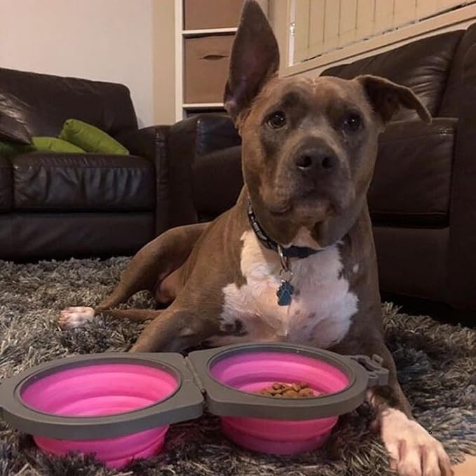 Loving Pets Bella Roma Double Diner Collapsible Dog Bowls - Silicone Dog Bowls, Foldable Bowl, Puppy Essentials & Hiking Pet Supplies Great for Home & Travel (Pink, Small)