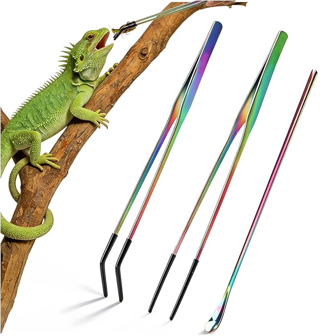 OLIISS Stainless Steel Reptile Feeding Tongs and Spoon Set - 10.6" Straight & Curved Tweezers for Aquariums & Crafts - Feeder Tools for Bearded Dragons & Lizards - Terrarium Tank Supplies