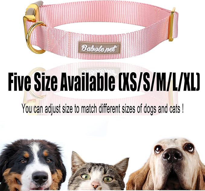 Nylon Dog Collar - Adjustable Pink Soft Webbing Dog Collars for Small Medium Large Dogs Boy Girl Puppy Collar with Safety Metal Buckle XS