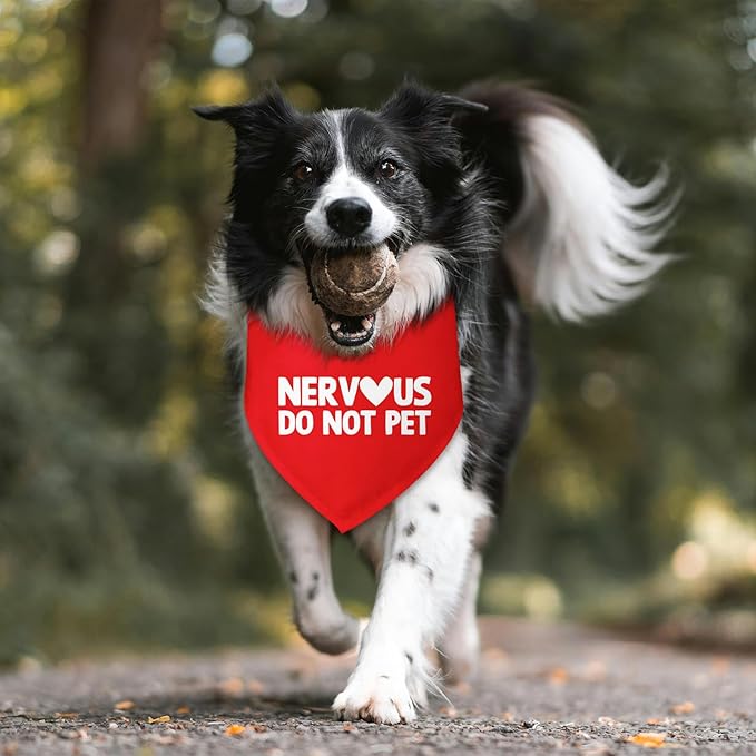Nervous Do Not Pet Dog Bandana Service Bandana Service Dog in Training Funny Pet Accessories Shy Dogs Gift Nervous Anxious Scarf for Small Medium Dogs & Cats