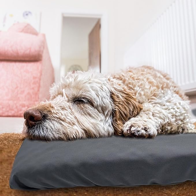 Dog Bed Cover Waterproof Replacement Machine Washable Covers for Dog Bed Heavy Duty Scratch Resistant Mattress Protector Pet Bed 54x44 Inch Grey Cover Only