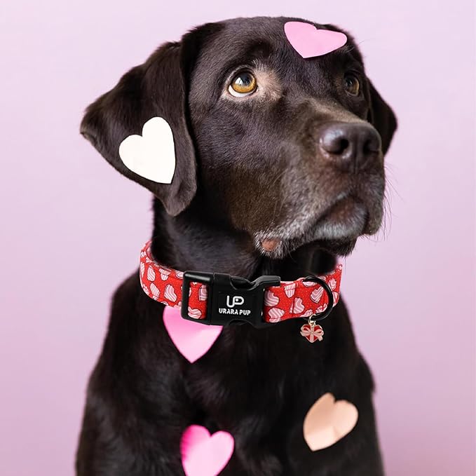 Valentine's Dog Collar, UP URARA PUP Pink Heart in Red Adjustable Pet Collar with Bowknot Charm, Wedding Dog Accessories for Small Medium Large Dogs