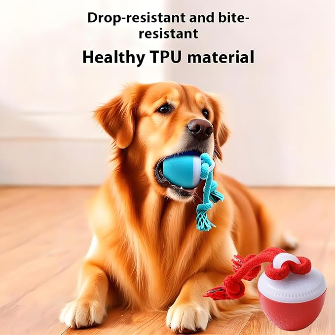 Interactive Dog Toys, Interactive Dog Ball with Birdsong Squeaky Chewable Rope for Small/Medium/Large Dogs,Automatic Moving Dogs Toy Wicked Ball for Boredom & Training,Dog Toys to Keep them Busy(Blue)