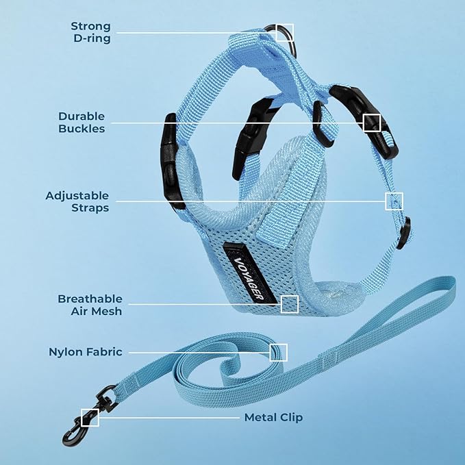 Voyager Escape-Proof Step-in Lock Cat Harness & 5ft Neoprene-Handle Leash Set All-Weather Mesh with Reflective Stitching for Small to Large Cats by Best Pet Supplies, Baby Blue, XS