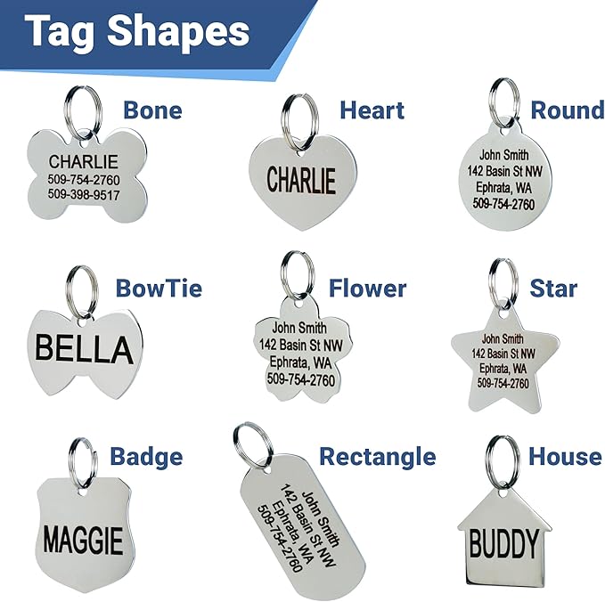 GoTags Stainless Steel Pet ID Tags, Personalized Dog Tags and Cat Tags, up to 8 Lines of Custom Text, Engraved on Both Sides, in Bone, Round, Heart, Bowtie and More (Heart, Regular (Pack of 1))