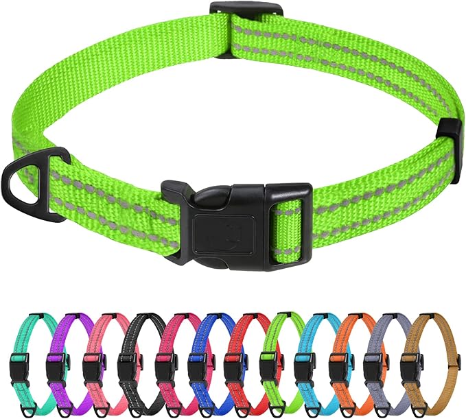 TagME Reflective Nylon Dog Collars, Adjustable Classic Collar with Quick Release Buckle for Extra Small Dogs, Green, 5/8" Width
