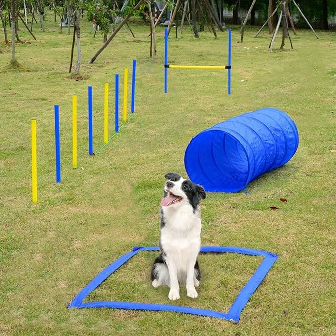 PAWISE Dog Agility Training Equipment, Complete Dog Obstacle Course Kit with Agility Tunnel, Adjustable Hurdle, Weave Poles & Pause Box, Outdoor Dogg Training Set for Backyard & Agility Sports