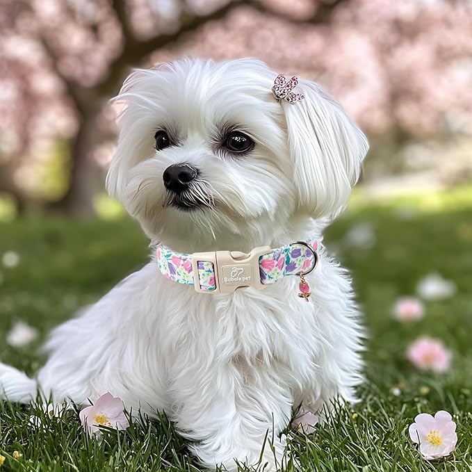Floral Dog Collar for Medium Dogs - Pink Purple Tulips Print Dog Collars, Spring Summer Cute Flower Puppy Collar, Lightweight Adjustable April Holiday Boy Girl Dogs Collars M