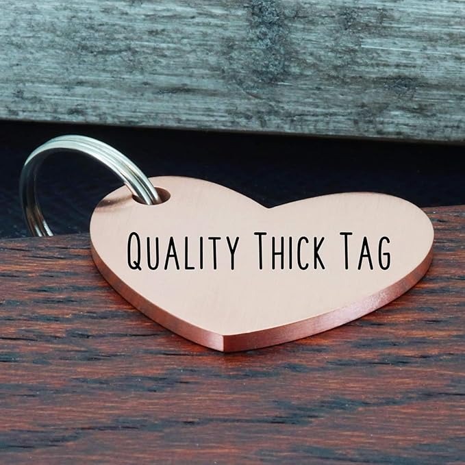 Ultra Joys Dog ID Tag, Custom Dog Tag Personalized Cat Tag, Pet ID Tag, Brushed Stainless Steel Dog Cat Tag, Custom Your Own