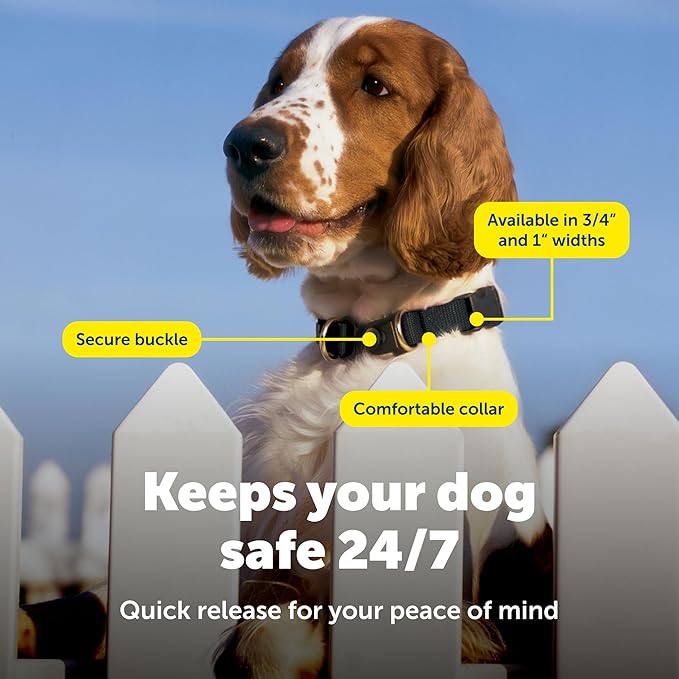 PetSafe KeepSafe Collar for Dogs - Protects Against Collar Accidents - Long Lasting - Durable - Adjustable - Breakaway - Outdoor-Safe - Large - 1 In. Wide - Red