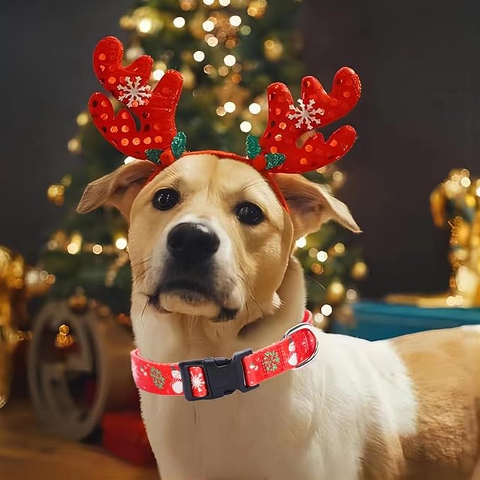 Christmas Dog Collar with Buckle Adjustable Safety Nylon Collars for Small Medium Large Dogs, Cute Stylish Girl Boy Christmas Dog Collar (Christma Red,L)