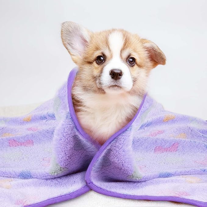 LeapSheep Pet Blankets for Dogs Cats - 3Pack Bone Pattern Super Soft Fluffy Dog Blankets for Small Medium Large Doggy Kitten (Bone, Medium)