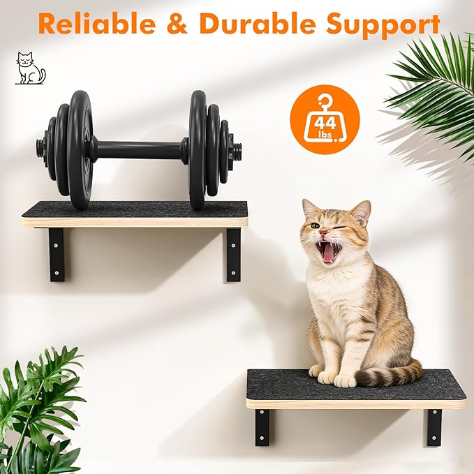 2PCS Cat Wall Shelves with Felt Board,17x9.85 Inch Solid Wood Cat Wall Furniture, Wall Mounted Cats Shelves for Sleeping, Climbing and Scratching
