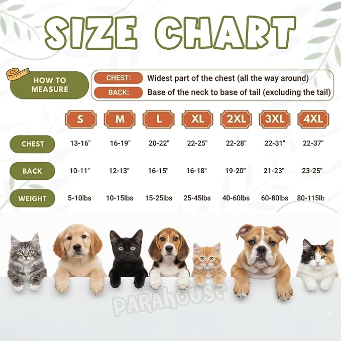 Personalized Dog Hoodie, Custom Embroidered Name Pet Hoodie, Warm Winter Outfit for Dogs, Pet Clothes, Gift for Dog Lovers 7