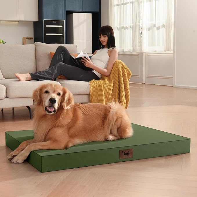 Outdoor Extra Large Dog Bed, Waterproof Dog Bed for Large Dogs, Egg Crate Foam XL Pet Bed with Removable Washable Oxford Cooling Cover, Amy Green