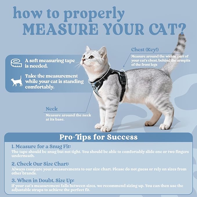 rabbitgoo Cat Harness and Leash for Walking, Escape Proof Soft Adjustable Vest Harnesses for Cats, Easy Control Breathable Reflective Strips Jacket, Doodle Gray,XXS