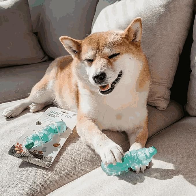 Small Breed Dog Chew Toys for Teething - Natural Rubber & Durable Nylon Toy for Puppies 0-12 Months, Interactive Gift for Small Dogs Under 30 lbs, Safe Teeth Cleaner & Anxiety Soother