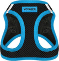 Best Pet Supplies - All Weather Mesh/Plush, Reflective, No Pull Harness for Small, Medium Dogs, Cats - Secure with Hook & Loop Fastener, Buckle, Double D-Rings - Black/Blue Trim, XS