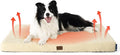 Bedsure Self Warming Dog Beds Large Sized Dog - Comfy Puppy Beds with Removable Washable Cover, Orthopedic Egg Crate Foam Pet Mat, Suitable for Pet Up to 65 lbs (Non Electric)