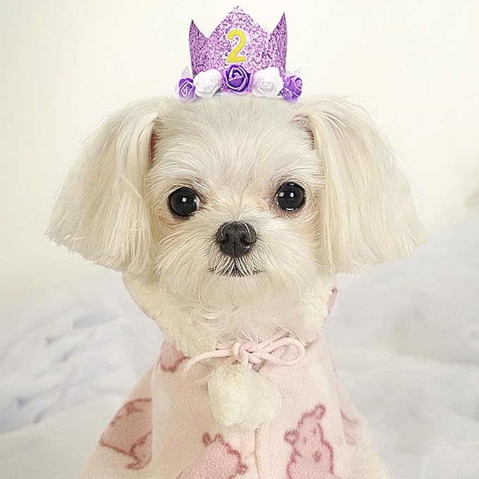 PET SHOW Purple Crown Dog Birthday Party Hat for Girls Reusable Party Supplies Cat Kitten Headband with 0-9 Figures Charms Costume Accessories with Glue