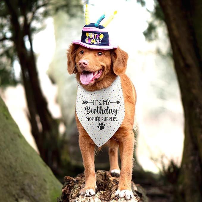 It's My Birthday Mother Puppers White Dog Bandana Birthday Gifts for Dogs Photo Prop Party Supplies Puppy Dog Pet Bandanas Pet Scarf Accessories for Dog Mom
