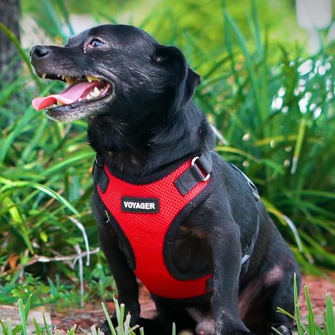 Voyager Step-in Pet Harness - All Weather Mesh, Adjustable Step in Harness for Cats and Dogs by Best Pet Supplies - Red/Black Trim, L