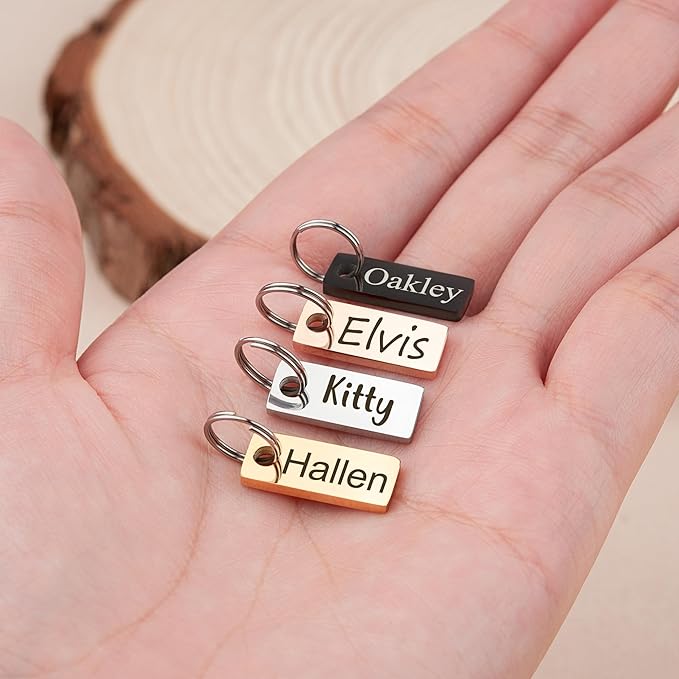 Anavia Small Size Dog Cat ID Tags, Small/XS Personalized Color Plated Stainless Steel Puppy Kitten Name Tags, Customized Engraved Nameplate Pet Collar Tag (Silver, XS-Rectangle)