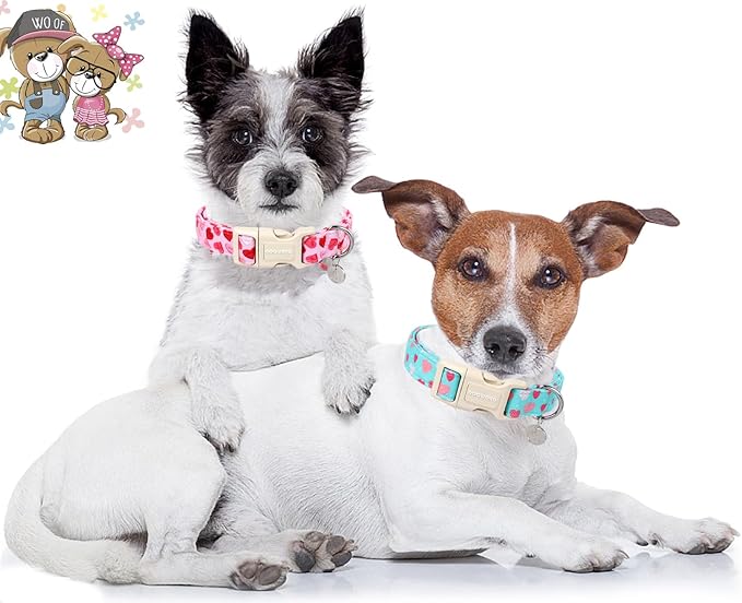 DOGWONG Valentine's Dog Collar - Blue Heart Adjustable Cotton Heart Dog Collar - Perfect for Medium & Large Dogs