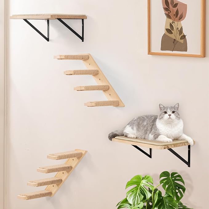 Wall Mounted 2 Pack Cat Shelf with 2 Pieces Four Steps Climber Stairs - Modern Cat Wall Furniture for Climbing, Lounging, and Playing - Perfect Hammock for Indoor Cats or Kitty