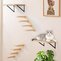 Cat Wall Furniture Set, 2PCS Cat Shelves & 2PCS 4 Steps Wall Shelves Stairs Tower Climbing Scratching Perches for Climbing Sleeping, Playing