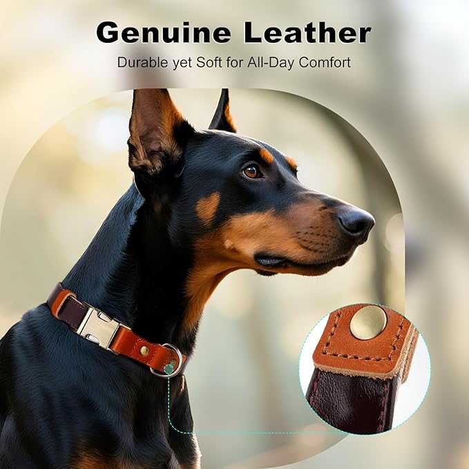 Plutus Pet Genuine Leather & Hemp Dog Collar – Adjustable Heavy Duty Pet Collar with Quick Release Metal Buckle, Soft & Stylish for Puppy and Small, Medium, Large Dogs (Copper Brown, L)