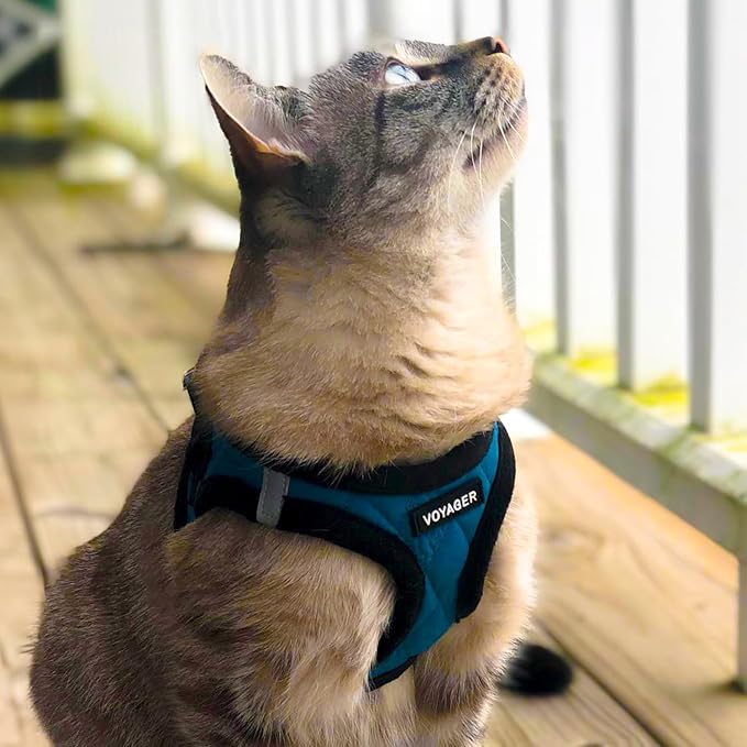 Best Pet Supplies - All Weather Plush, Reflective, No Pull Harness for Small, Medium Dogs, Cats - Secure with Hook & Loop Fastener, Buckle, Double D-Rings - Turquoise Plush, XL