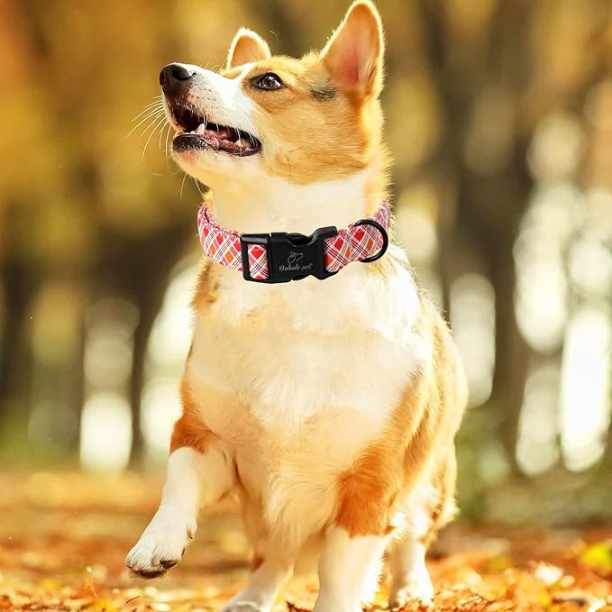Fall Dog Collar, Fall Orange and Red Plaid Puppy Collar, Adjustable Cotton Holiday Tanksgiving Dog Collars for Small Medium Large Boy&Girl Dogs XL
